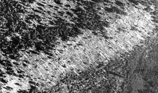 Так район Тунгуски выглядел с воздуха в 1938 году (фото с сайта th.bo.infn.it).